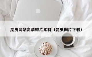 涿州昆虫网站高清照片素材（昆虫图片下载）